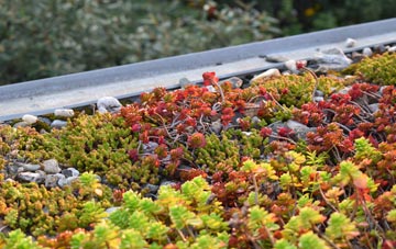 the cost of Coughton green roof installation