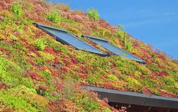Coughton living roof systems